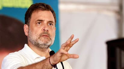 Lok Sabha LoP Rahul Gandhi (File Photo/ANI)
