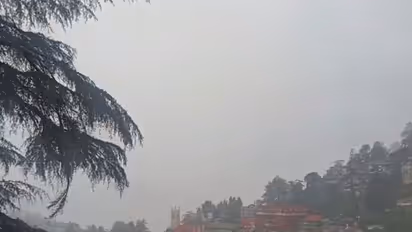 Visual from Shimla (Photo/ANI)
