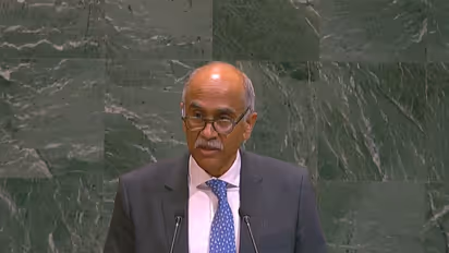 Permanent Representative of India to the United Nations, Harish Parvathaneni (Photo/X/@IndiaUNNewYork)