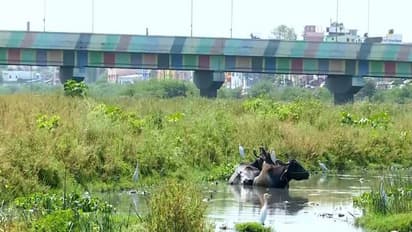 Visual from Vaigai River (Photo/ANI)