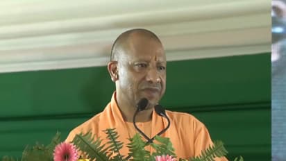 Uttar Pradesh Chief Minister Yogi Adityanath (Photo/ANI)