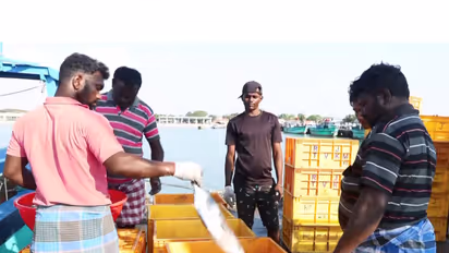 Fishermen at Tharuvaikulam harbour (Photo/ANI)