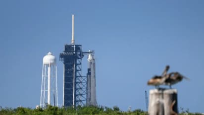 https://stocktwits.com/news-articles/markets/equity/elon-musk-spacex-successfully-launches-falcon-9-to-deploy-23-starlink-satellites/chl7VnGRbzm