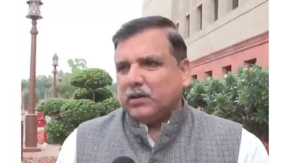 AAP MP Sanjay Singh (File Photo/ANI)