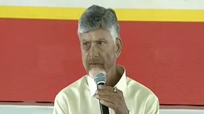Andhra Pradesh Chief Minister Chandrababu Naidu (File Photo/Youtube of I&PR AP)