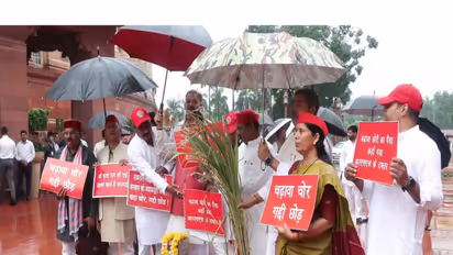 Samajwadi Party MPs protest inside Parliament premises (Photo/ANI)