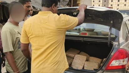 Seized dry Ganja (Photo/EAGLE Force)