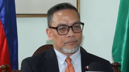 Philippines Ambassador to India Josel F Ignacio (Photo/ANI)