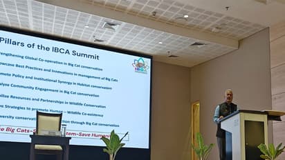 IBCA Director General SP Yadav delivered an insightful session ahead of forthcoming IBCA Summit (Photo:X@IBCA_official)
