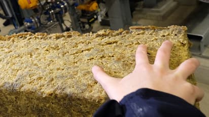 Trinseo Stock Swings As Retail Chatter Spikes On Q4 Results, Restructuring Efforts