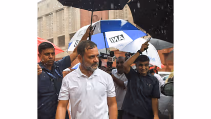 Congress leader Rahul Gandhi (Photo/ANI)