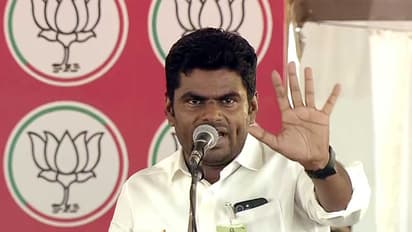 Former Tamil Nadu BJP President K. Annamalai (Photo/ANI)