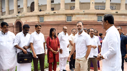 Lok Sabha LoP Rahul Gandhi at Parliament (Photo/ANI)