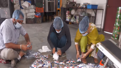 Woman entrepreneur expands organic spice business under government horticulture scheme (Photo/ANI)