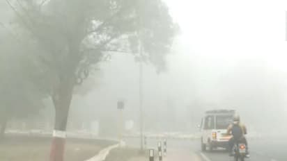 Dehradun envoloped in fog (Photo/ANI)