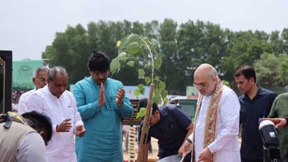 Union Home Minister Amit Shah plants trees (Photo/Gujarat CMO)
