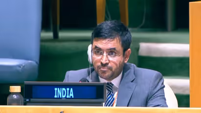 Indian diplomat Raghoo Puri (Photo/UNTV)