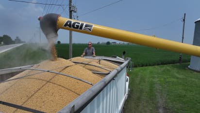 https://stocktwits.com/news-articles/markets/equity/us-soybean-exports-hit-as-trumo-tariff-drive-chinese-oilseed-imports-to-brazil/chrCdxIRdBN