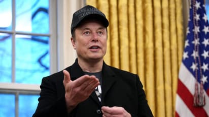 Tesla Stock Eyes Best Day In Weeks: Analyst Downplays Musk's DOGE Distraction, Retail Sentiment Still Gloomy