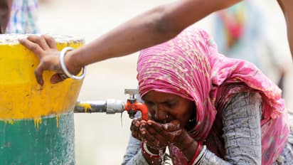 A woman drinking water from a public tap (Photo/ANI)