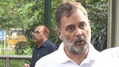 Leader of Opposition in Lok Sabha and Congress MP Rahul Gandhi (File photo/ANI)
