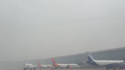 Dense Fog of IGI Airport (Photo/ANI)