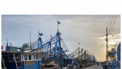 Fishermen halt fishing for 'Our Lady Of Snows Basilica' festival (Photo/ANI)