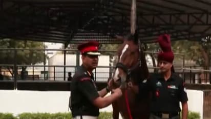 Viraat was the mount of the President's Bodyguard Commandant and took part in 13 Republic Day parades. (Photo/ANI)