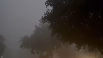 Thick fog engulfs Dwarka (Photo/ANI)