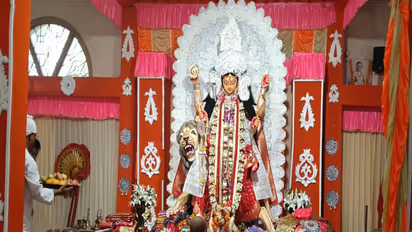 Maa Jagadhatri (Photo/ANI)