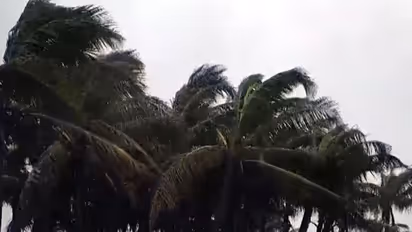 Cyclone Arnab In Visakhapatnam (FilePhoto/ANI)