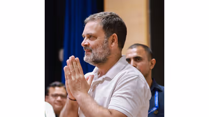 Congress leader Rahul Gandhi (Photo/ANI)