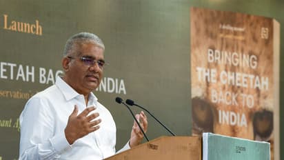 Bhupender Yadav, Union Minister, (Photo/ANI)