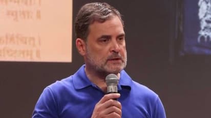 Lok Sabha LoP Rahul Gandhi (Photo/ANI)