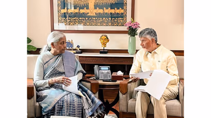 Finance Minister Nirmala Sitharaman and Andhra Pradesh Chief Minister N Chandrababu Naidu (FilePhoto/ANI)