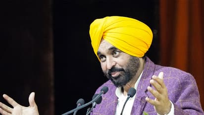 Punjab CM Bhagwant Mann (Photo/ANI)