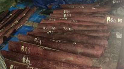 DRI busts organised Red Sanders smuggling racket in Chennai (Photo: PIB)