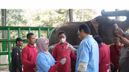 Indonesia and Vantara launch major wildlife health and conservation partnership (Photo/ Vantara)