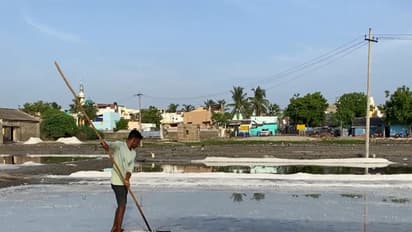 Visuals of salt pans in Thoothukudi (Photo/ANI)