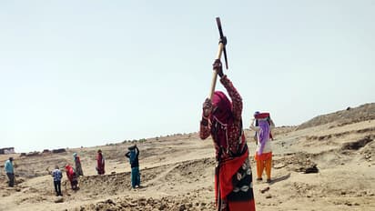 People are working under MGNREGA scheme to earn their livelihood. (Photo/ANI)
