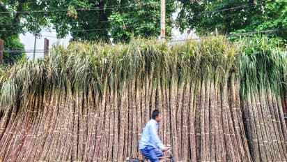 Representative Image (File Photo/ANI)