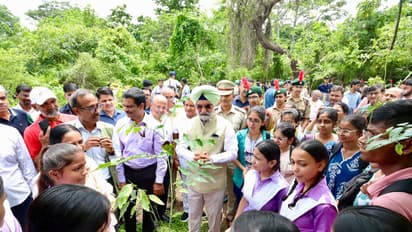 LG Taranjit Singh Sandhu plants a sapling at Kamla Nehru Ridge during DDA's mega plantation drive (Photo/X@SandhuTaranjitS)