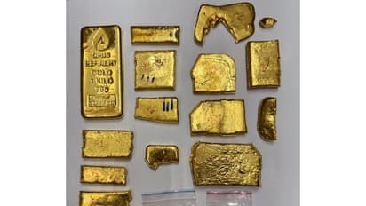 Seized gold (Photo/DRI)