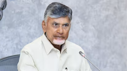 Andhra Pradesh Chief Minister N Chandrababu Naidu (File Photo/ANI)