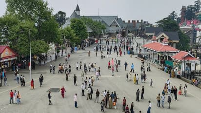 Tourist in Shimla choosing Indian destination over foreign tour (Photo/ANI)