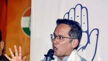 Assam Congress President Gaurav Gogoi (File Photo/ANI)