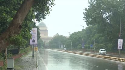 Visuals of the rain (Photo/ANI)
