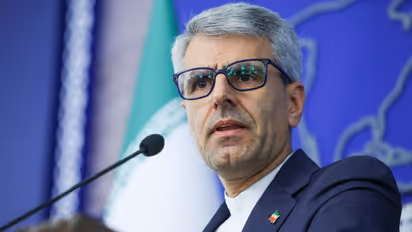 Iranian Foreign Ministry Spokesperson Esmaeil Baghaei (Photo/X@IRIMFA_EN)