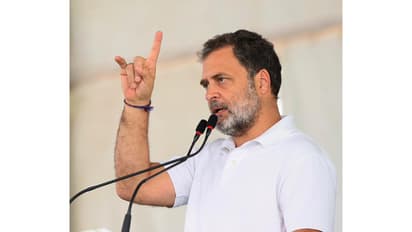 Rahul Gandhi, Leader of Opposition, Lok Sabha (Photo/ANI)