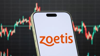 https://stocktwits.com/news-articles/markets/equity/this-analyst-thinks-stabilization-for-zoetis-products-could-be-several-quarters-away/cZm3BDFR7Km